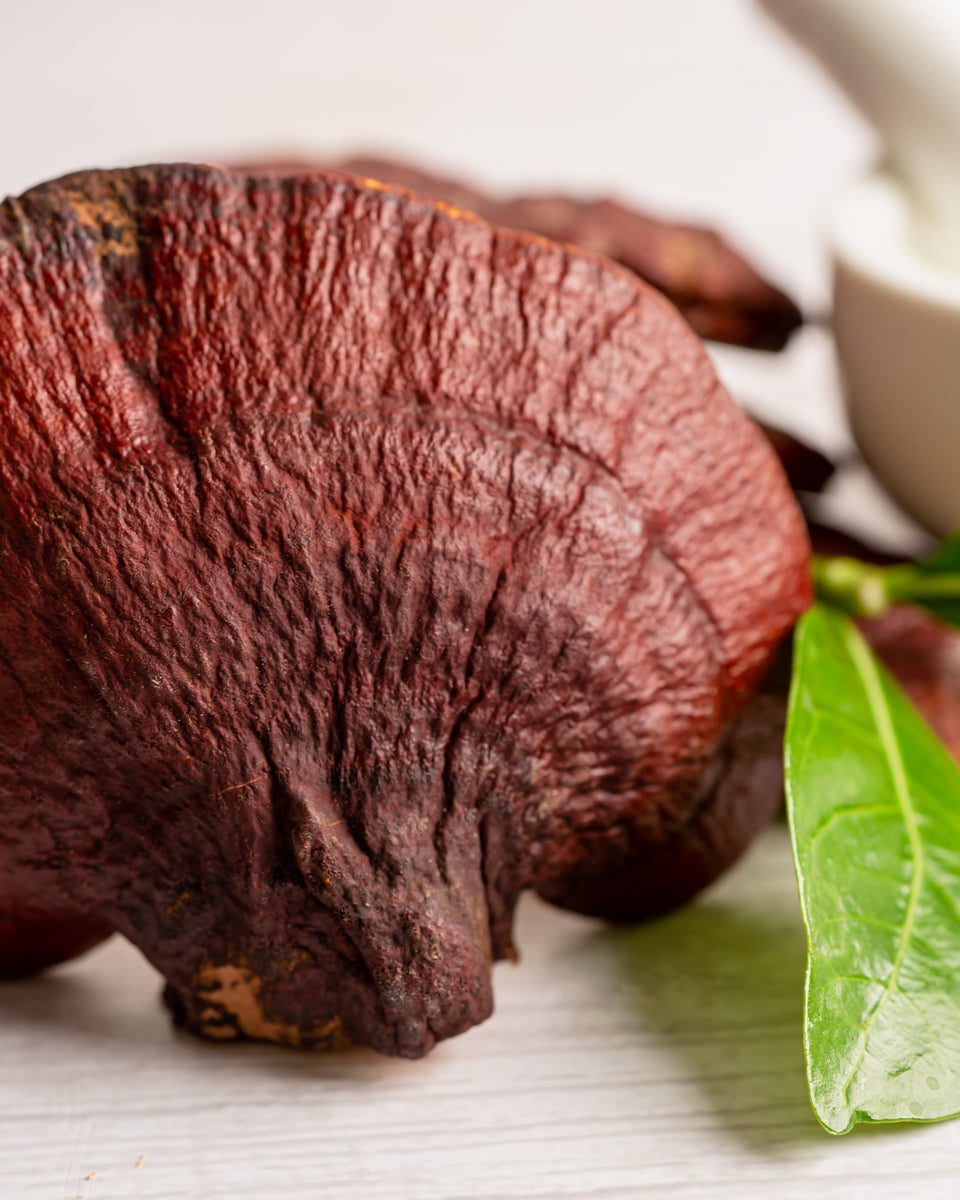 Reishi