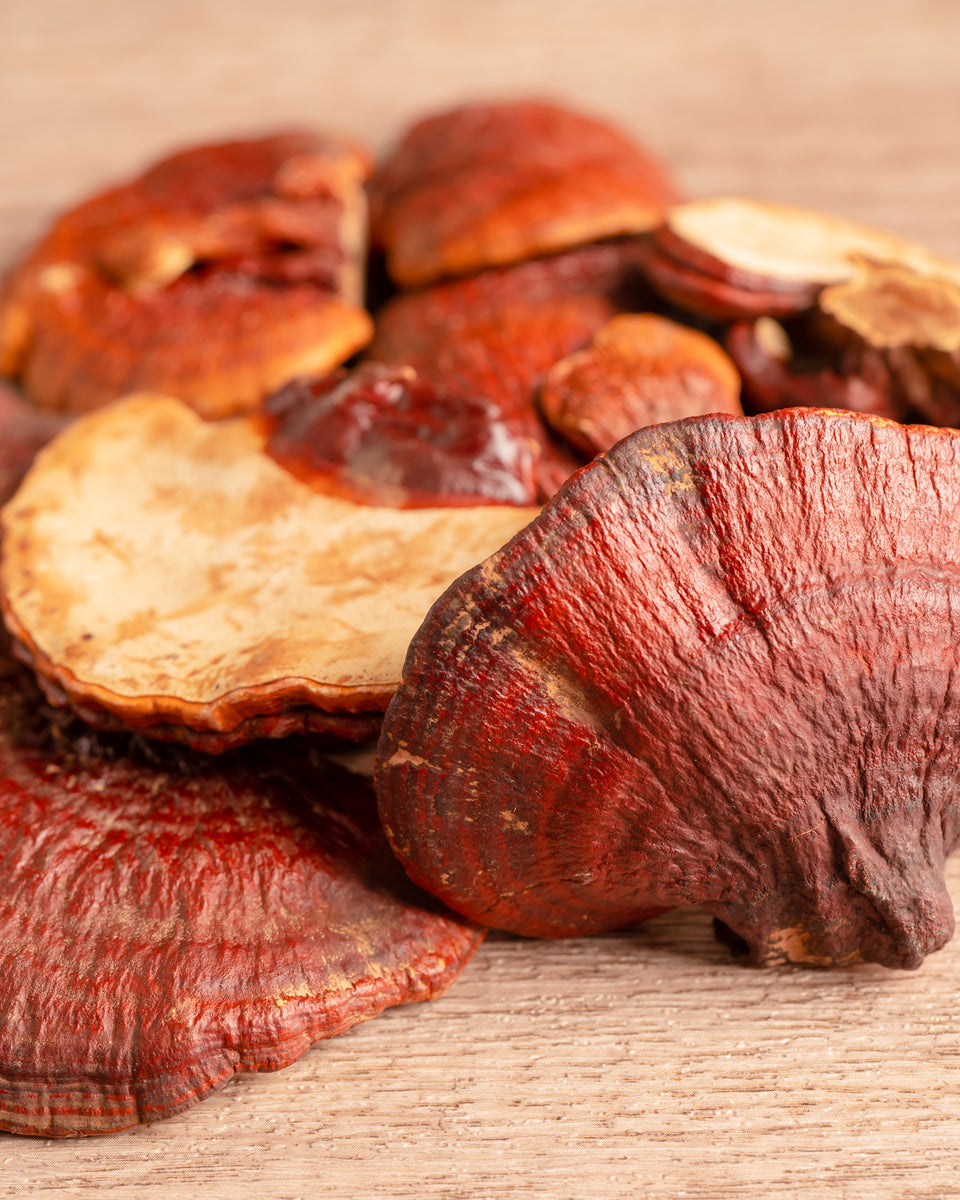 Reishi