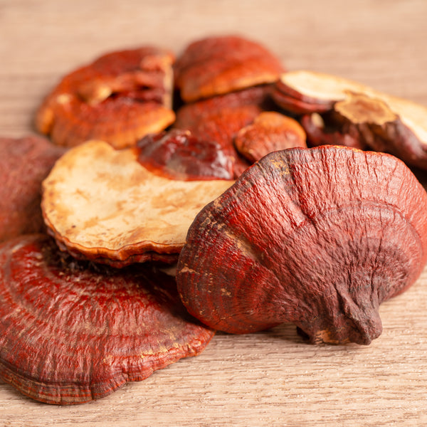 Reishi