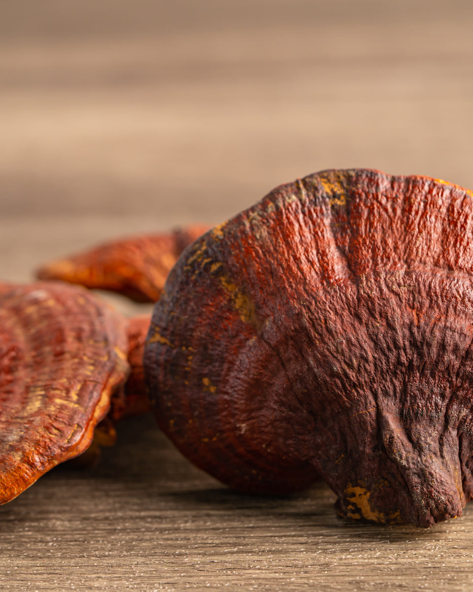 Reishi