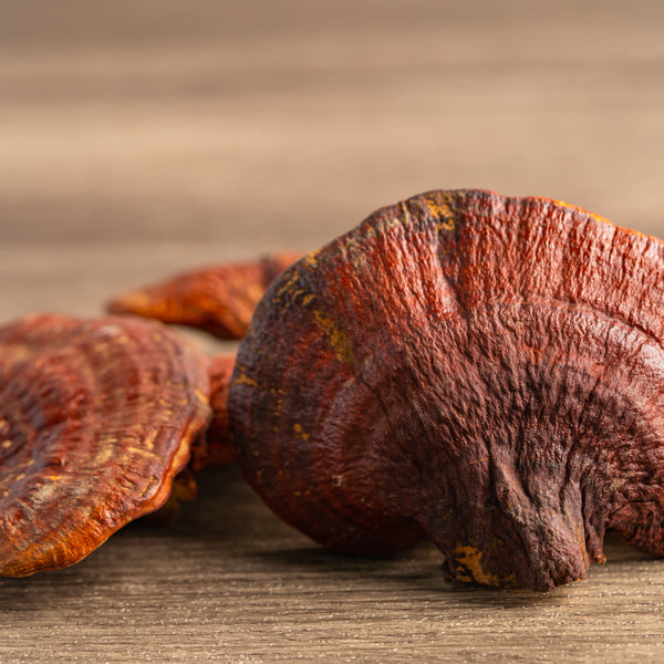 Reishi