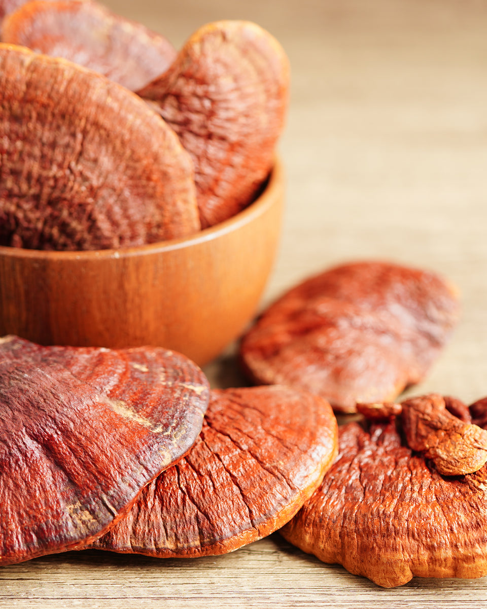 Reishi